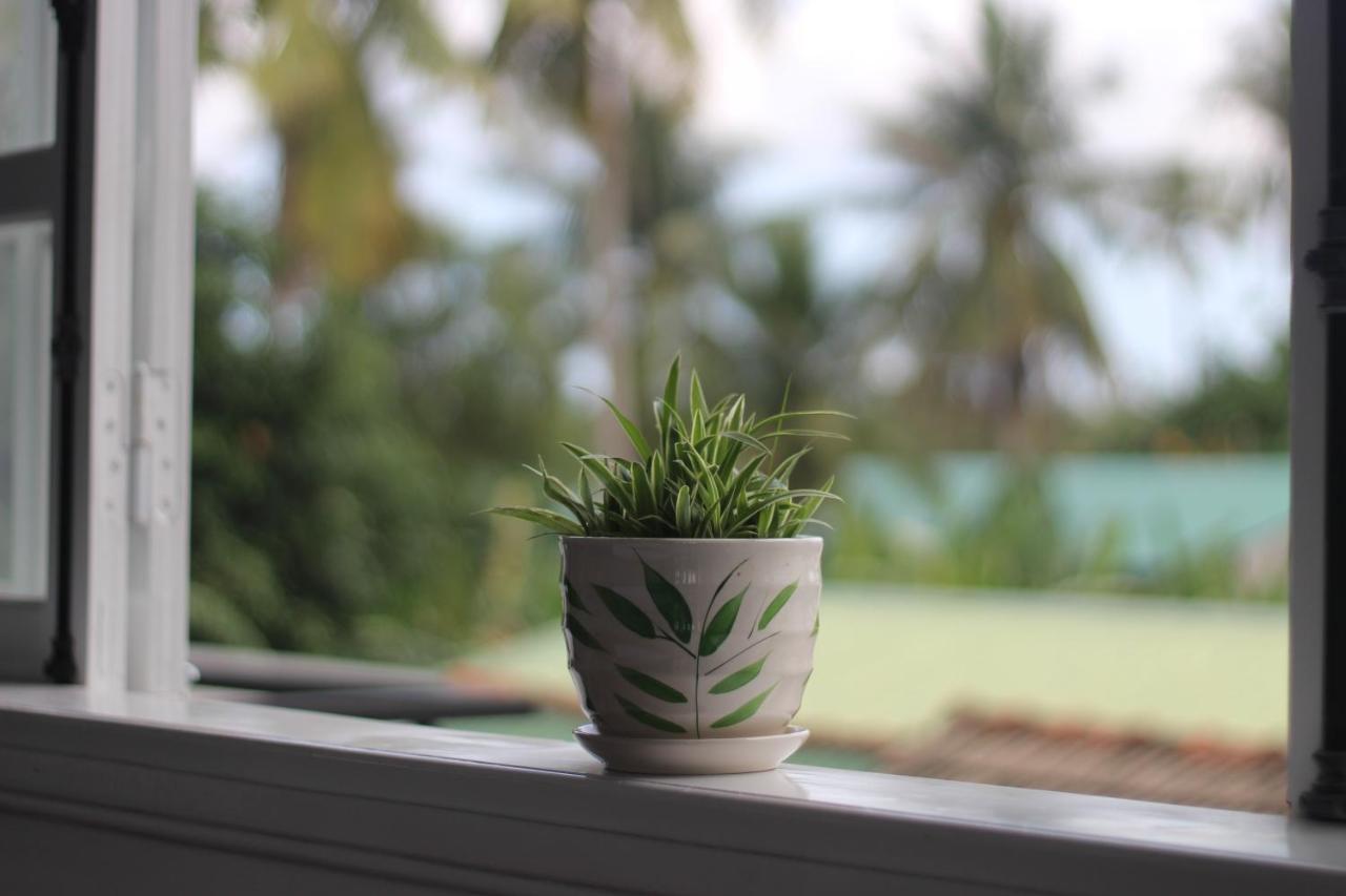 Tiny An Homestay เว้ ภายนอก รูปภาพ